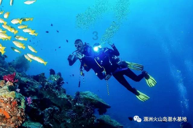 龙腾世纪审判