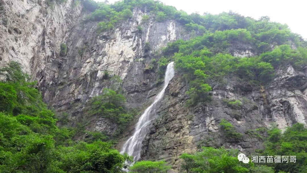雨后盛放
